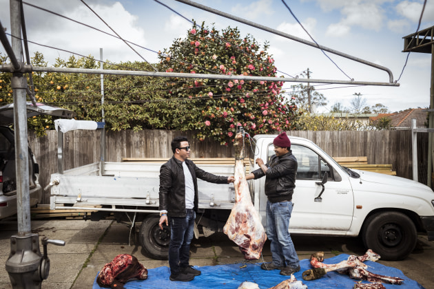 &copy; Chris Hopkins, for SBS Online Doc, 2018.