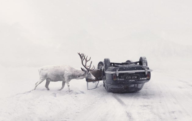 The quest for creativity. &copy; Martin Stranka.