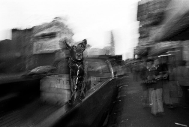 &copy; Ed Kashi/VII