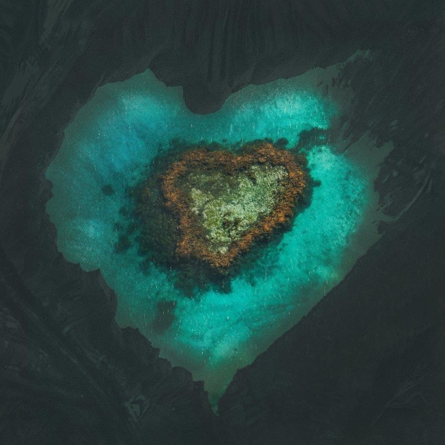 &copy; Adam Williams. Black heart