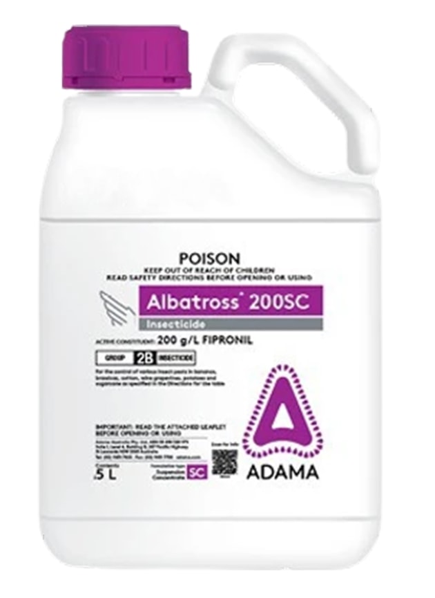 ADAMA Plasma Coating Technology: Pact Group