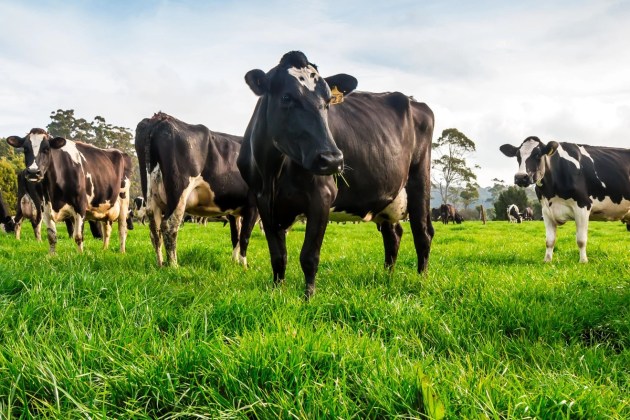Austrade Australian Export Awards 2024: Advanced Technologies finalist, Pasture.io (Source: Pasture.io)