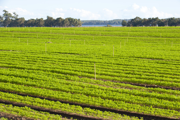 Farmers are taking the lead on methane reduction.