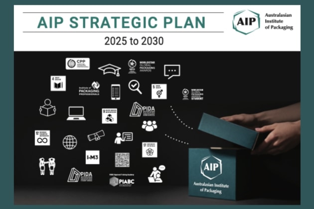 AIP Strategic Plan 2025 to 2030