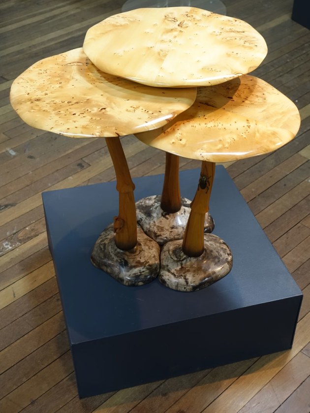 Second Prize Winner: Alby Johnston, Tricholoma nest of tables (detail). This is a commission piece for a private collection housed in Sydney. During the concept development the clients presented a photo of some mushrooms growing in their garden. Coincidently my favorite concept drawing was a cluster of mushroom like tables. When presented with the drawing, straight after showing me the photo, the clients loved the idea and it was clear the design direction was set. Each table is set upon a base of petrified wood. When positioned together the tables create a dynamic cluster, while separating them allows an independent presence and function as a small, delicate side table.