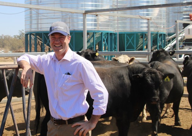 Angus Gidley-Baird, Rabobank senior analyst - animal protein