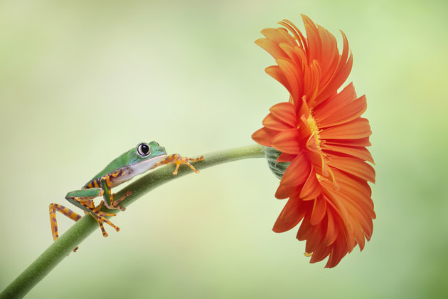 &copy; Renee Doyle. Runner-up &ndash; Animal, Australasia's Top Emerging Photographers 2022.