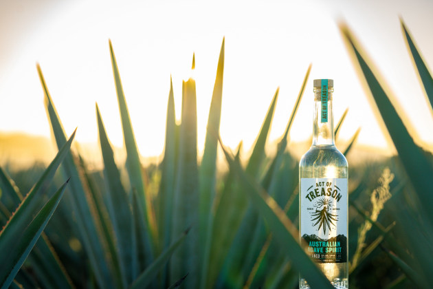 Years in the making, Top Shelf International (TSI) has released Act of Treason, a 100 per cent agave spirit made from its dedicated agave farm and distillery in Queensland&rsquo;s Whitsundays region.