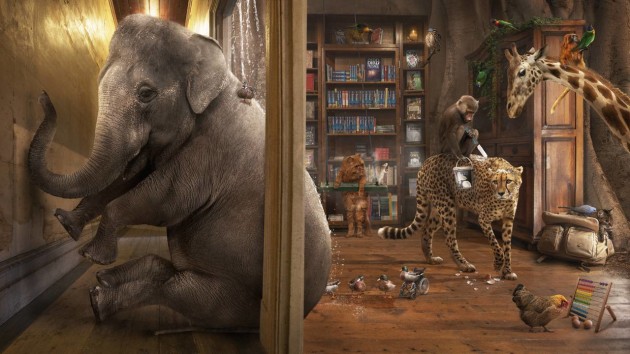 2018 AIPP Australian Pet/Animal Photographer of the Year &ndash; Karen Alsop (Melbourne)