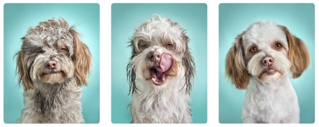2018 AIPP Australian Emerging Photographer of the Year &ndash; Belinda Richards (Melbourne)