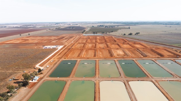 Aquna Sustainable Murray Cod is constructing a $20 million project with 78 free range ponds to farm Murray cod in Stanbridge, New South Wales. (Source: Aquna Sustainable Murray Cod)