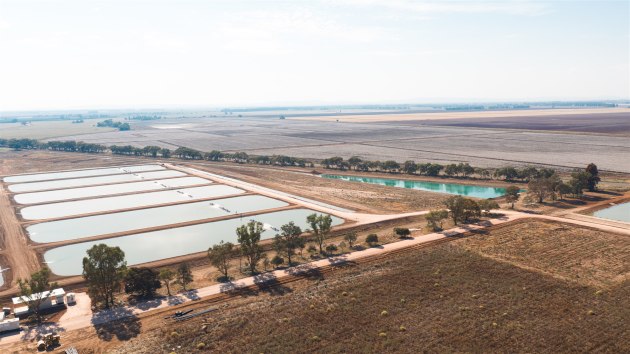 Aquna Sustainable Murray Cod is constructing a $20 million project with 78 free range ponds to farm Murray cod in Stanbridge, New South Wales. (Source: Aquna Sustainable Murray Cod)