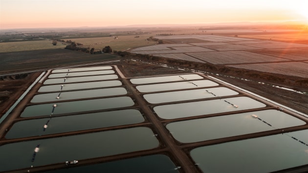 Aquna Sustainable Murray Cod is constructing a $20 million project with 78 free range ponds to farm Murray cod in Stanbridge, New South Wales. (Source: Aquna Sustainable Murray Cod)
