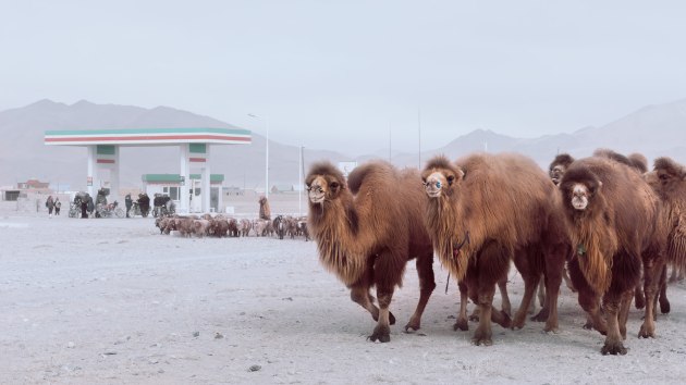 &copy; Kristyn Taylor. Winner, Travel. Australasia's Top Emerging Photographers 2019.