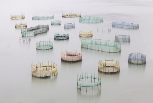 &copy; Callie Chee. Australasia's Top Emerging Photographer 2020, and winner of the Travel category.
