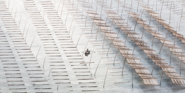 &copy; Callie Chee. Australasia's Top Emerging Photographer 2020, and winner of the Travel category.