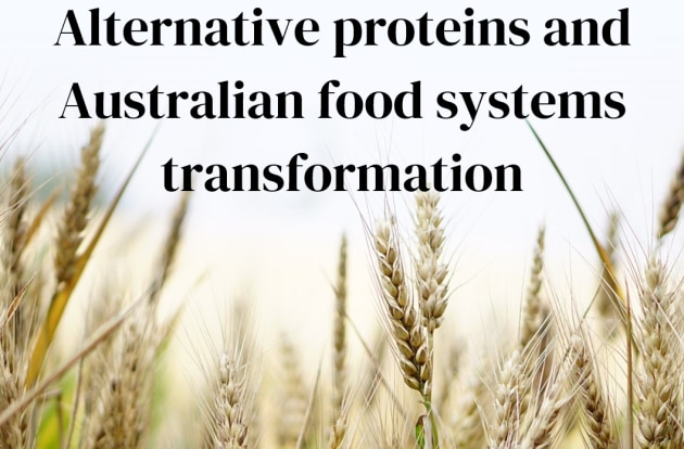 In a report to state and federal governments, alternative proteins think tank Food Frontier has warned that failing to transform our food system will see Australia miss out on market opportunities as well as fall behind the rest of the world.