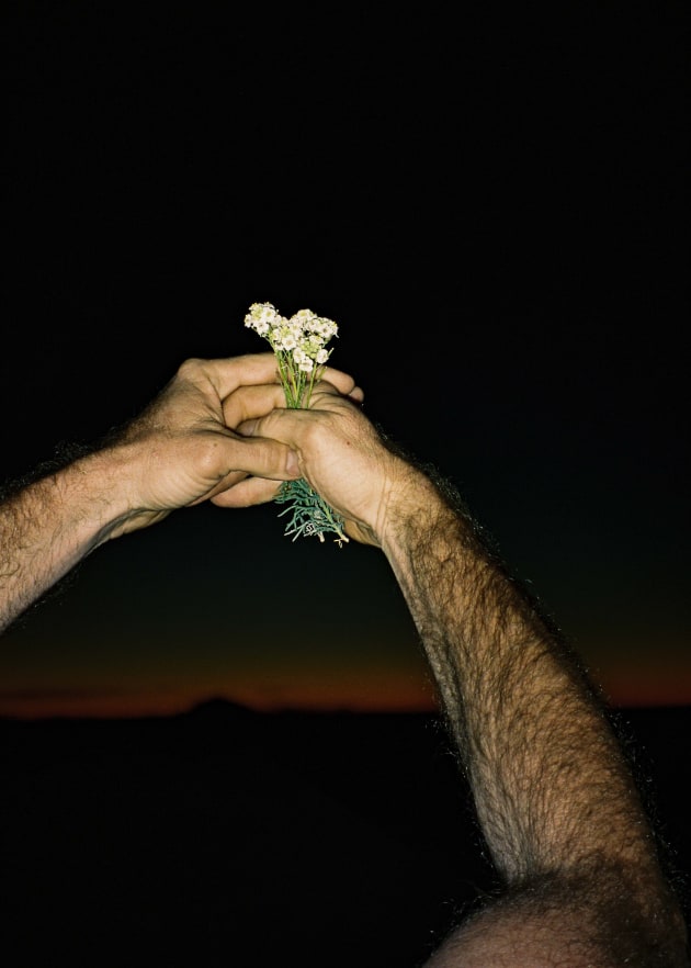 &copy; Abigail Varney