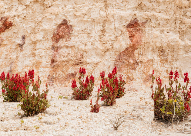 &copy; Abigail Varney