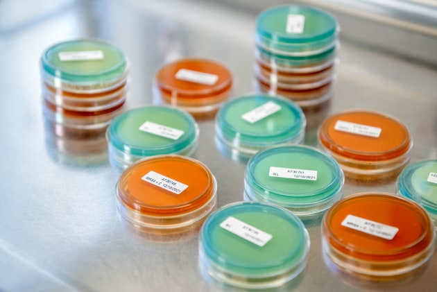 A breakthrough in yeast genome engineering by scientists from the ARC Centre of Excellence in Synthetic Biology, Macquarie University, and the Australian Wine Research Institute (AWRI) is a game changer for industry. (Image source: AWRI)