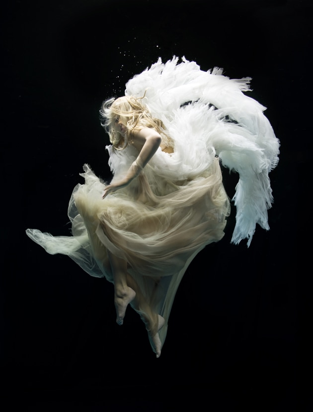 &copy; Zena Holloway