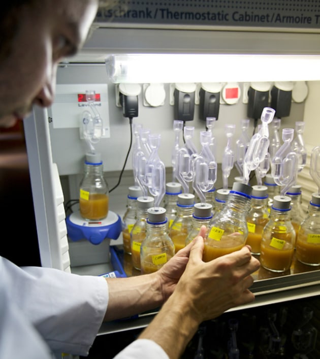 In the ultimate &ldquo;it&rsquo;s just not cricket&rdquo; news, Belgian researchers have used a machine learning method to make better tasting alcoholic and non-alcoholic beers.