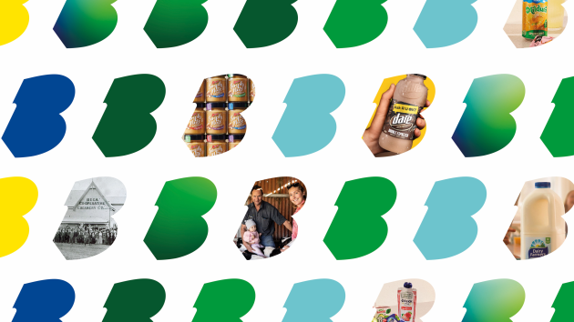 The Edison Agency worked with Bega Group to develop a new brand identity system and strategy that would unite all their business units as a single group.