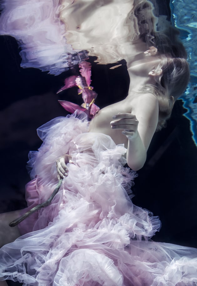 &copy; Lori Cicchini
