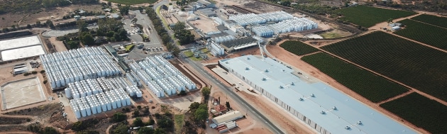Accolade wines has acquired Rolf Binder Wines as it shores up its Barossa and South Australian wine region portfolio. It follows the purchase of Katnook Estate in May 2020.