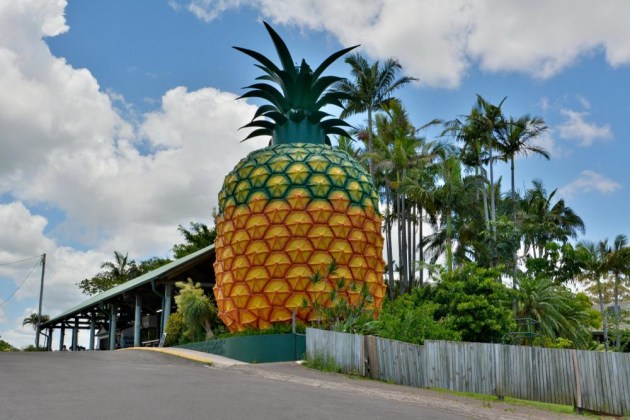 A $60 million-dollar food manufacturing and agribusiness precinct is part of a broader $150 million renewal project to transform the Big Pineapple site.