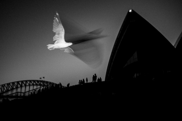 &copy; Mark Davidson. Winner &ndash; Black & White, Australasia's Top Emerging Photographers 2022.