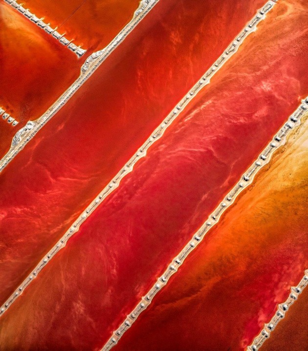 "Blood and Bones". Grid-like structures in an algae farm. Kalbarri, WA. &copy; Paul Hoelen.