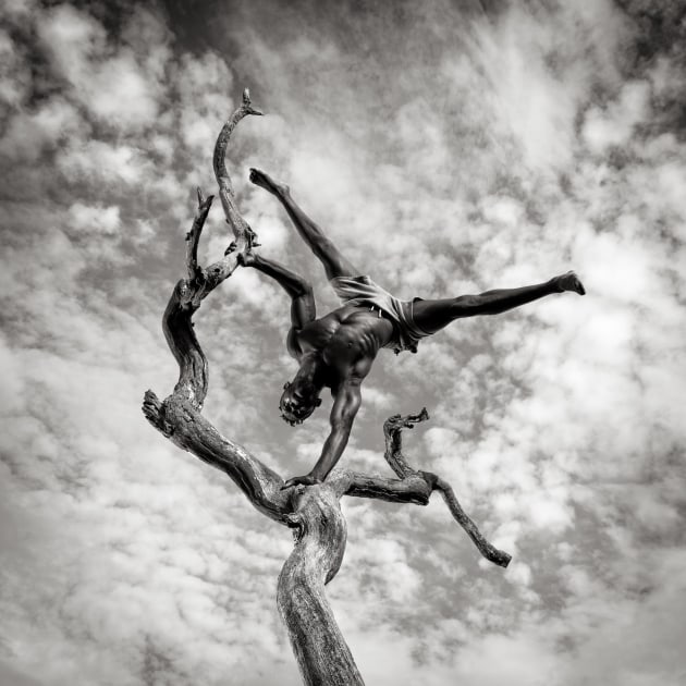 &copy; Tim Booth