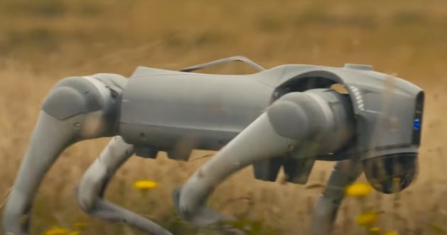 A photo of one of Breaker's AI Agent robots.

Credit: Breaker