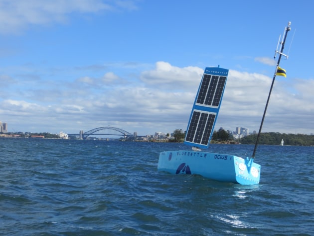Ocius' Bluebottle USV, nicknamed 'Bruce', in Sydney Harbour. Credit: Ocius