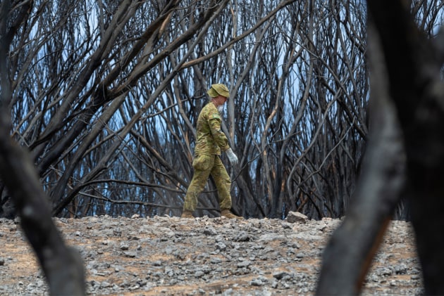A soldier looks for deceased wildlife on Kangaroo Island.
Defence