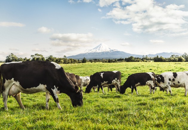 Source: Fonterra, 2020 Sustainability Report