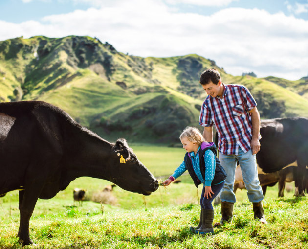 Source: Fonterra, 2020 Sustainability Report