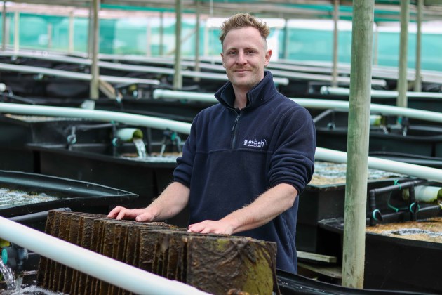 Abalone farm Yumba&rsquo;s propagation manager, Caleb Trenberth, was highly commended for the 2023 ASC Young Person in Aquaculture Award.