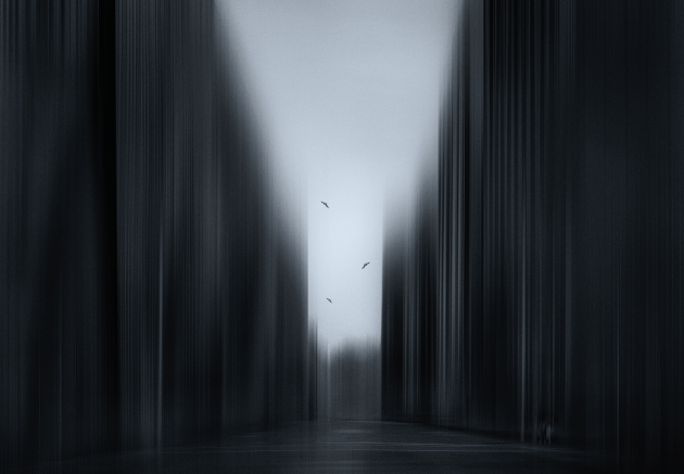 &copy; Federico Rekowski