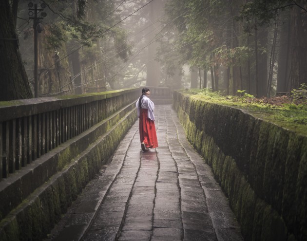 &copy; Luke David