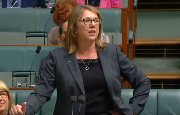 New minister for Infrastructure, Transport, Regional Development and Local Government Catherine King speaks in the House of Representatives in 2018. (still from parliament house feed)