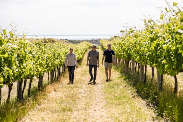 Chapel Hill says it is renewing its commitment to sustainable winemaking practices to ensure they thrive for the next 50 years.
Image: Chapel Hill Winery