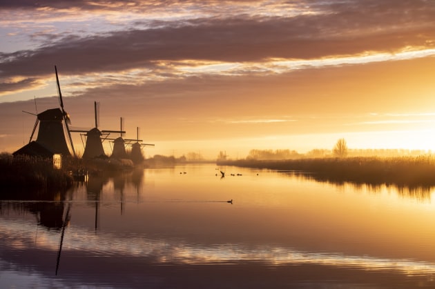 Dutch Dreams. Image &copy; Claire Droppert