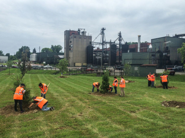 In its Proof Positive sustainability plan, Beam Suntory said it will plant more trees than those harvested to make whiskey barrels by planting 500,000 trees every year by 2030.