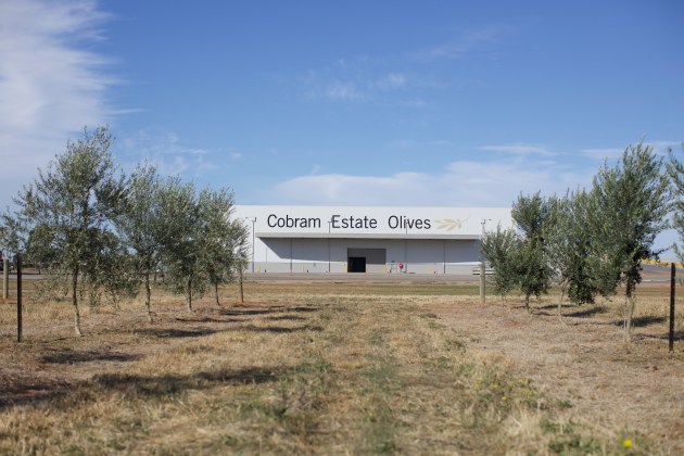 Exterior of Cobram Estate's Boort plant. (Image: CBO)