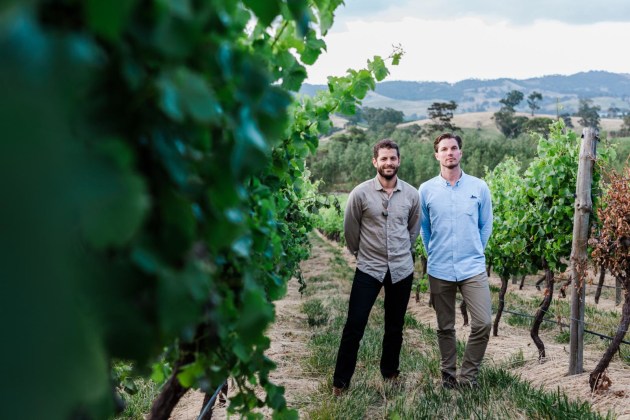 Founders Blake Vanderfield-Kramer and Steve Pillemer had access to some of the best vineyards in Australia. Image: Feels