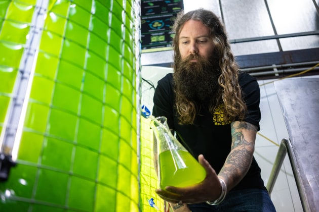 Oscar McMahon, Young Henrys co-founder, tests out the new algae bioreactor.