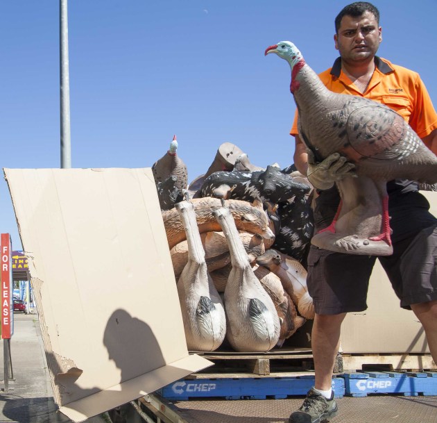 Courier, Granville - A courier delivers rubber target animals to Benson Archery, Granville. &copy; Lyndal Irons.