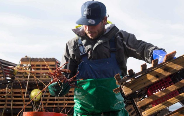 Up to 50 seafood communities nationally will be involved in the Sea Safe program.
